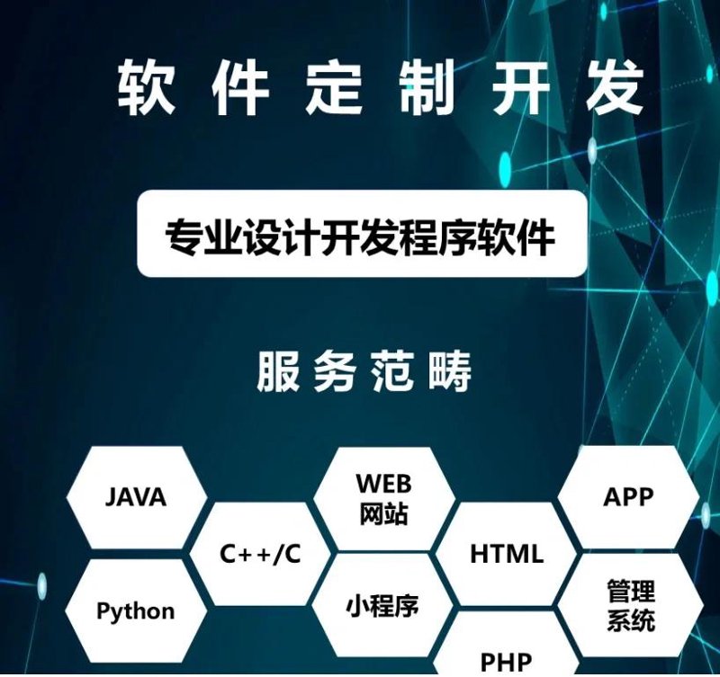 软件定制开发:企业信息化建设的新航标